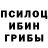 Галлюциногенные грибы Cubensis TheToyBlox