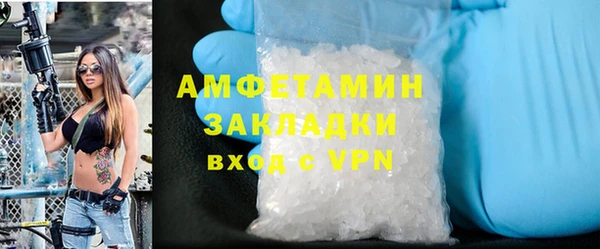 стаф Алзамай