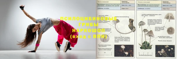 таблы Алексеевка