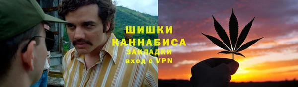 стаф Алзамай