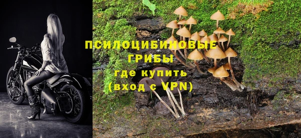 ALPHA PVP Алексин