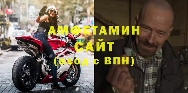 стаф Алзамай