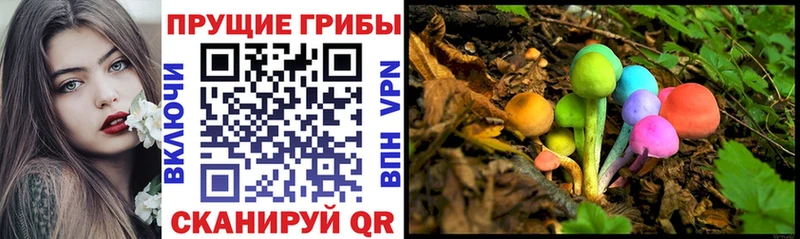 наркота  Бабушкин  Галлюциногенные грибы мицелий 